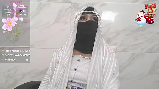 Snapshot of shaila_anali chatting on January 2025 02:46:01 PM shaila anali online show from January 2025 02:46:01 PM