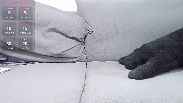 meow S2 online show from January 2025 07:06:02 AM