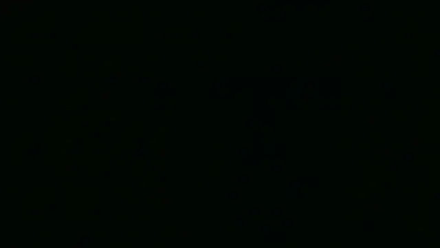 Garima G online show from April 2026 02:08:01 PM