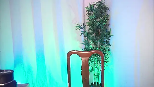 dam0n fr0st online show from February 2026 08:48:02 PM