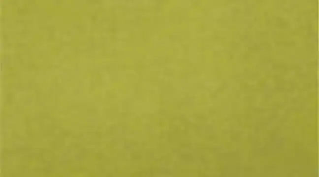 AnneGagner online show from March 2025 06:32:01 PM