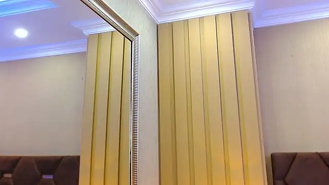 Snapshot of DevonPiers chatting on February 2025 12:15:02 PM DevonPiers online show from February 2025 12:15:02 PM