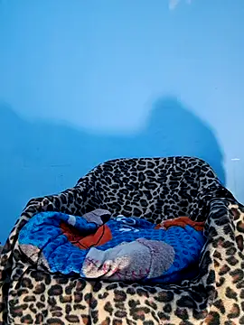 Snapshot of charlesss19 chatting on March 2025 07:14:02 PM charlesss19 online show from March 2025 07:14:02 PM