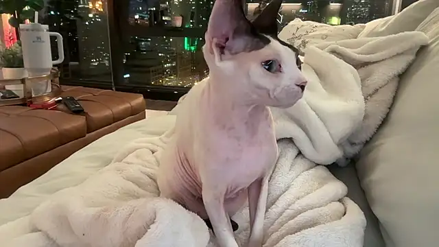 Graciemae baexx online show from December 2025 03:50:02 AM