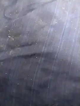 jellydicks online show from March 2026 12:42:01 PM