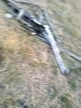 jellydicks online show from March 2026 12:51:02 PM