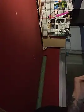 chavito2223 online show from February 2026 04:11:02 AM