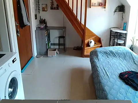 Lauzo21 online show from March 2026 06:33:01 AM