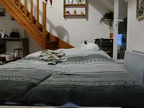 Lauzo21 online show from December 2025 06:34:02 AM