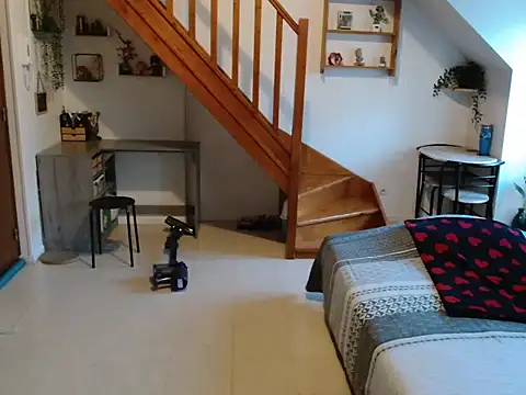 Lauzo21 online show from February 2026 06:35:01 AM