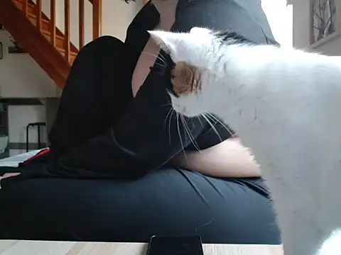 Lauzo21 online show from March 2026 06:35:01 AM