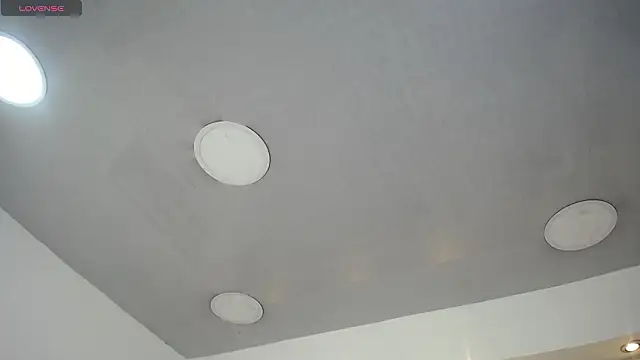 MrWilliseo online show from February 2026 07:55:01 PM