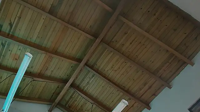 Venusflame   online show from November 2025 12:05:02 PM