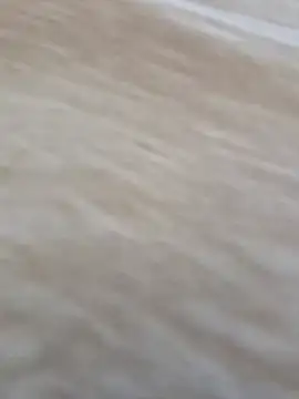 Snapshot of Public_Katrisha chatting on January 2026 02:20:02 PM Public Katrisha online show from January 2026 02:20:02 PM