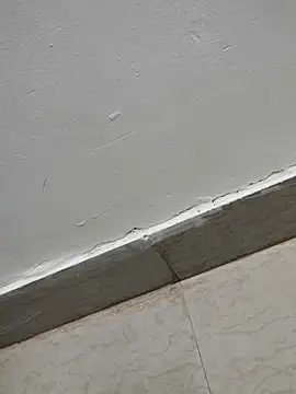 Tamilrojanew online show from March 2026 05:03:01 AM