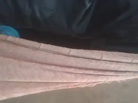 tripexnte online show from February 2025 09:43:02 PM