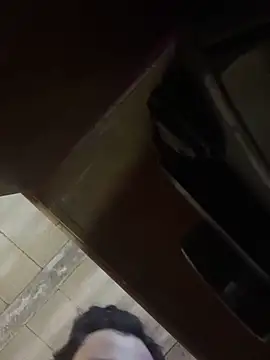 tripexnte online show from February 2025 06:30:02 PM