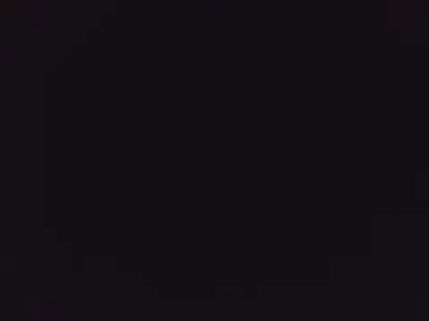 tripexnte online show from March 2025 09:29:01 PM