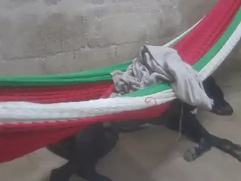 tripexnte online show from February 2025 11:28:02 PM