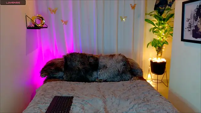 Kaaiiri online show from March 2026 10:29:02 AM