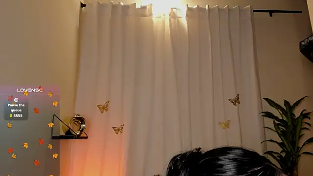 Kaaiiri online show from December 2025 12:54:01 PM