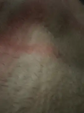 Juliano69xv online show from December 2025 02:19:02 PM