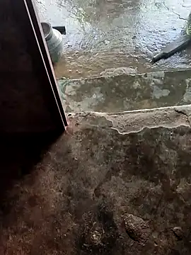 poojaji2024 online show from February 2025 05:35:01 AM