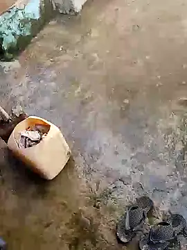 poojaji2024 online show from December 2024 05:43:02 AM