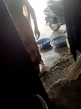 poojaji2024 online show from March 2025 04:41:01 AM