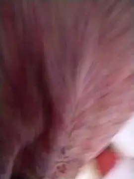 Pushpavathi 78 online show from April 2026 12:31:02 PM