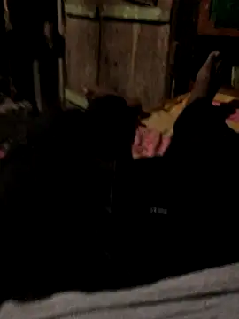 GapingConker online show from October 2025 11:40:02 AM