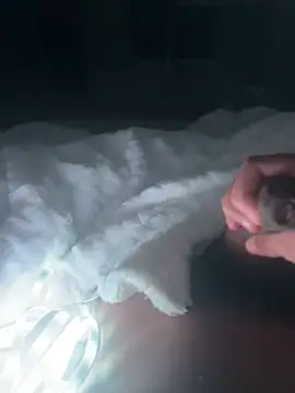 mallllll273838ko online show from December 2024 11:18:01 PM