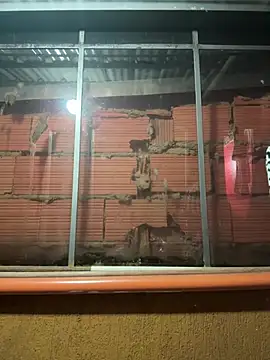 Anily Lovely online show from February 2026 12:34:02 AM