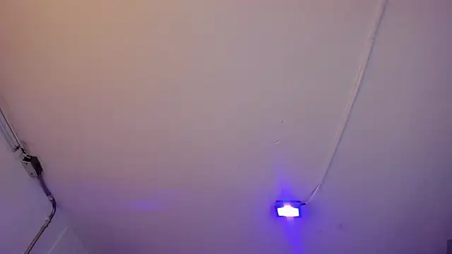 Amy Kiitty  online show from March 2026 01:12:01 PM