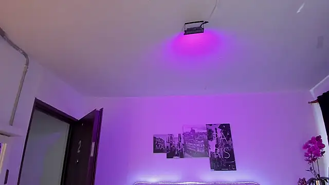 Amy Kiitty  online show from April 2026 01:17:01 PM