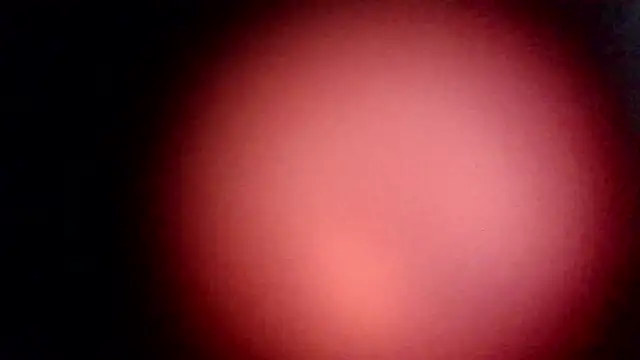 modenq online show from March 2026 02:29:02 PM