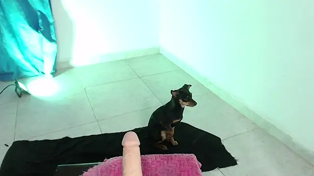 April sexycurvi online show from November 2025 01:37:01 AM