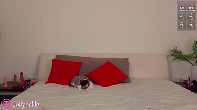 jolly bellle online show from November 2025 01:20:02 AM