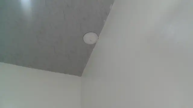 Full Fist online show from January 2026 02:23:02 PM