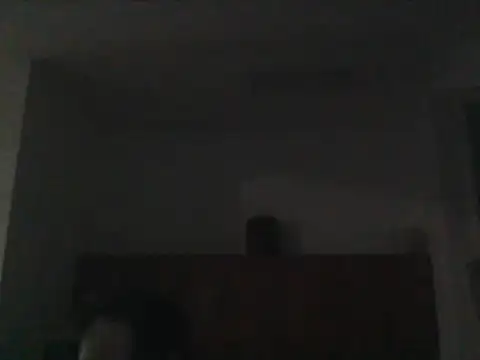 DefiniteTimor online show from February 2026 11:16:01 PM