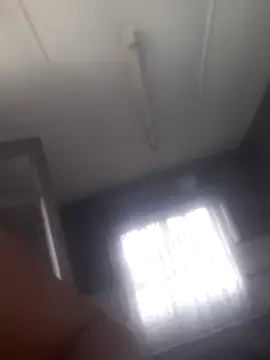 Feathergal69  online show from February 2025 08:56:01 AM