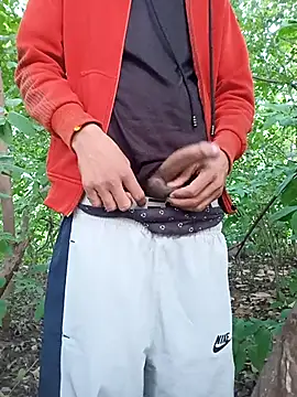 Snapshot of Piyush_2024 chatting on November 2025 01:38:01 AM Piyush 2024 online show from November 2025 01:38:01 AM