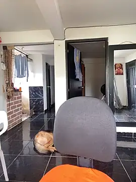 Edward Milleer online show from November 2025 04:32:02 PM