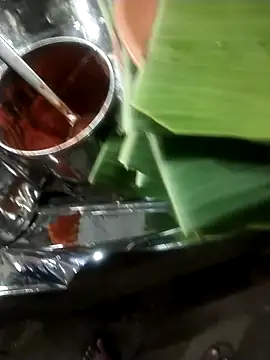 bhavyatelugupilla online show from January 2025 02:35:01 PM