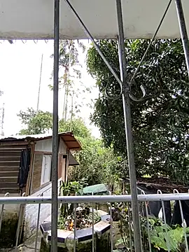 Jestebanano online show from May 2026 04:54:01 PM