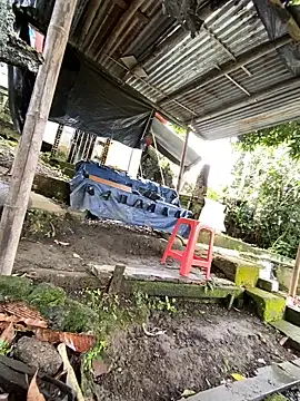 Jestebanano online show from May 2026 12:55:01 PM