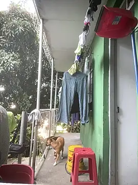 Jestebanano online show from April 2026 12:54:01 PM