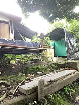 Snapshot of Jestebanano chatting on October 2025 12:41:02 PM Jestebanano online show from October 2025 12:41:02 PM