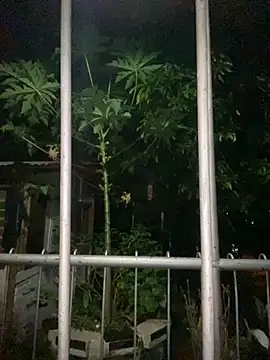 Snapshot of Jestebanano chatting on September 2025 12:57:02 AM Jestebanano online show from September 2025 12:57:02 AM