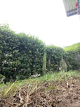 Snapshot of Jestebanano chatting on November 2025 03:12:01 PM Jestebanano online show from November 2025 03:12:01 PM